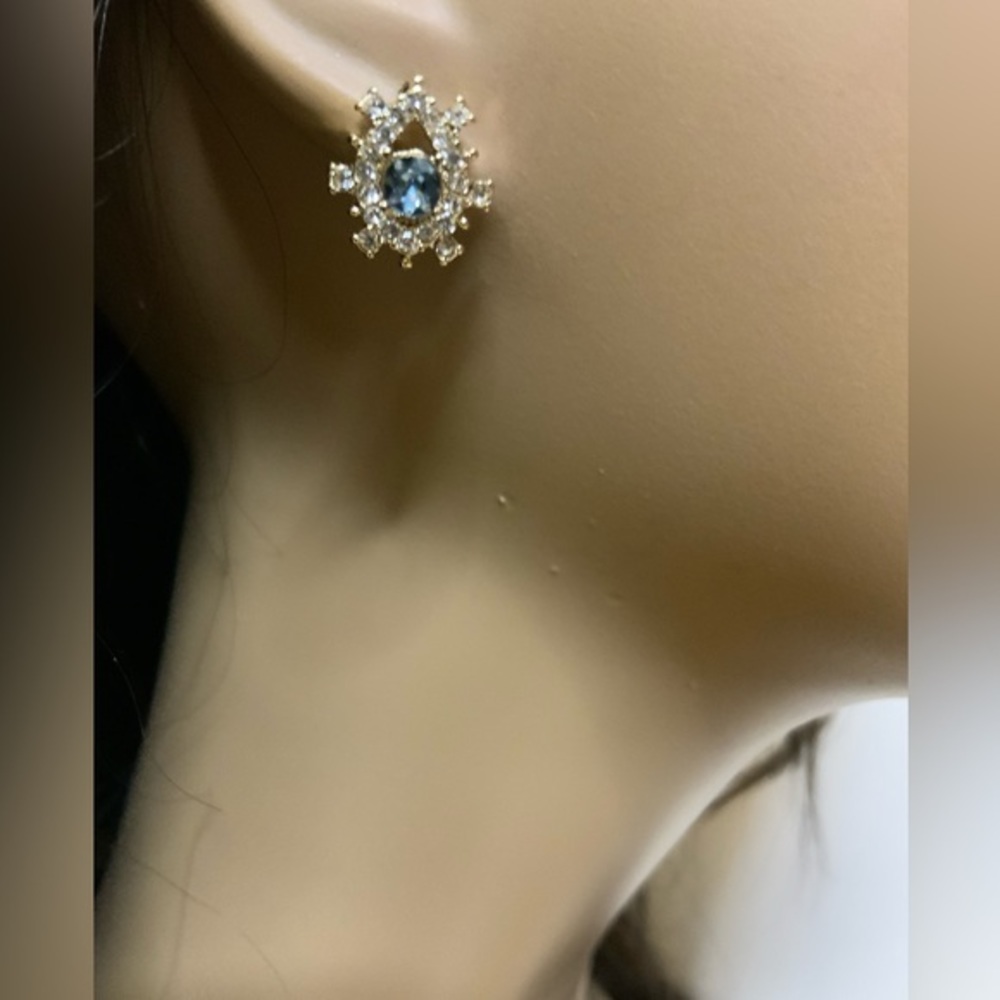 🌺Marchesa Crystal Earrings